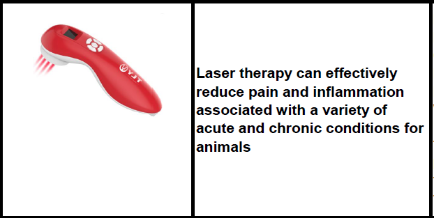 Vet-cure low level laser device for animals or vet use
